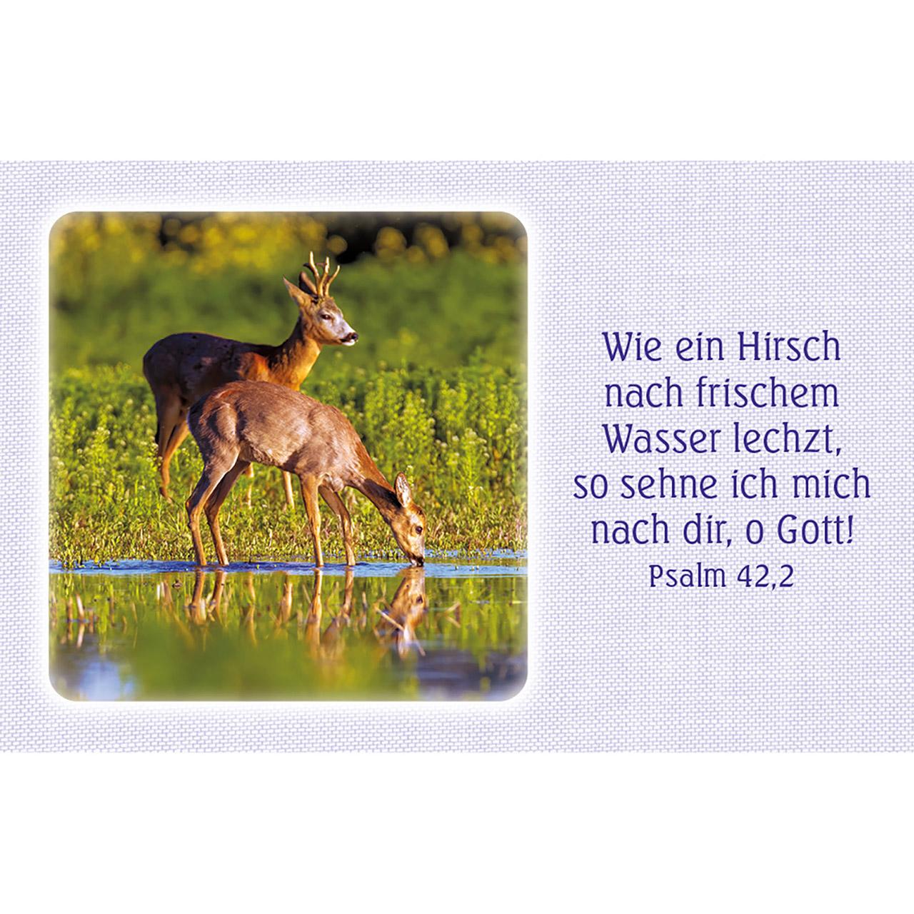 Beispielinhalt (Bild) 62 Psalm-Gebete