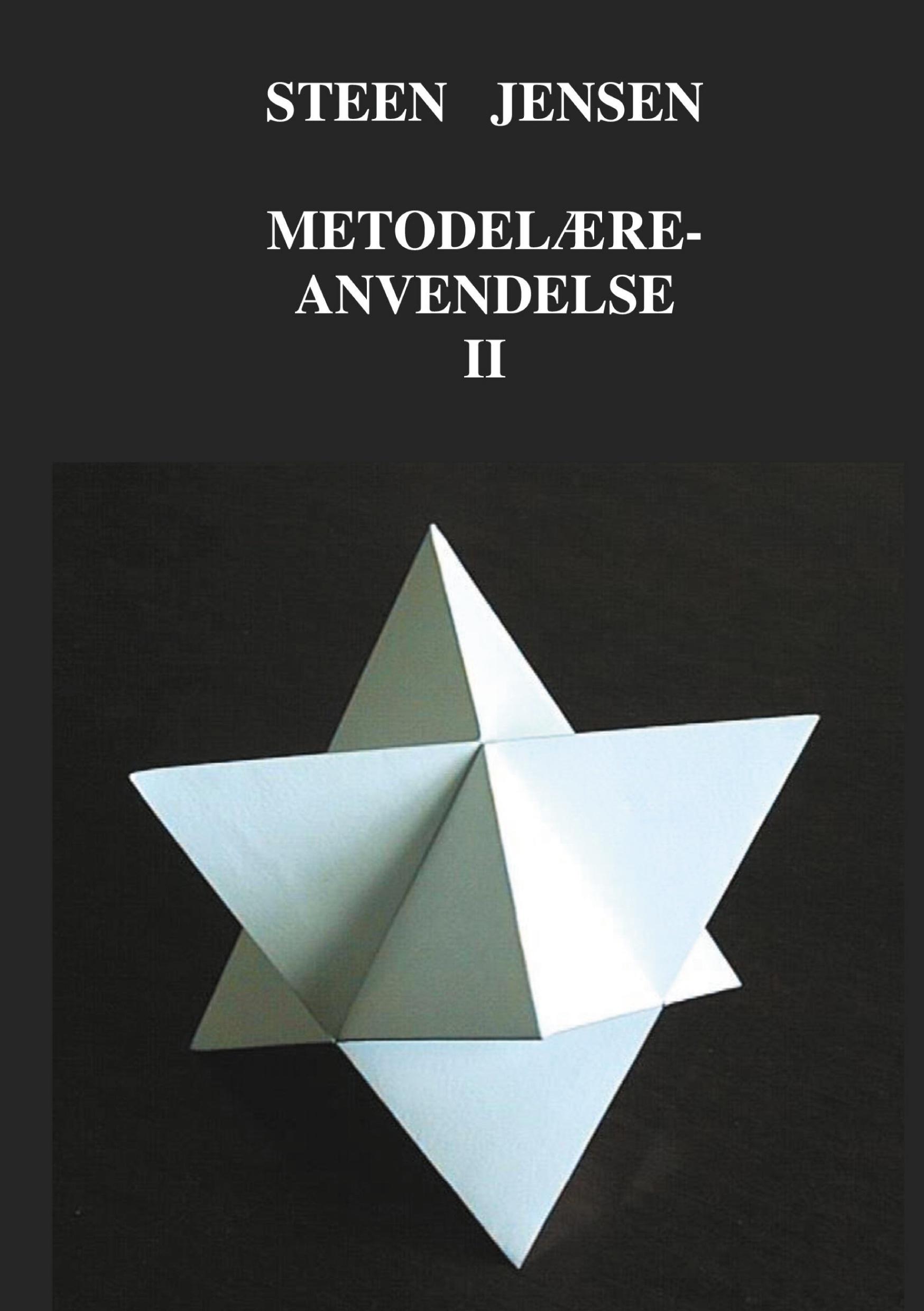 Vorderes Coverbild Metodelære-anvendelse II