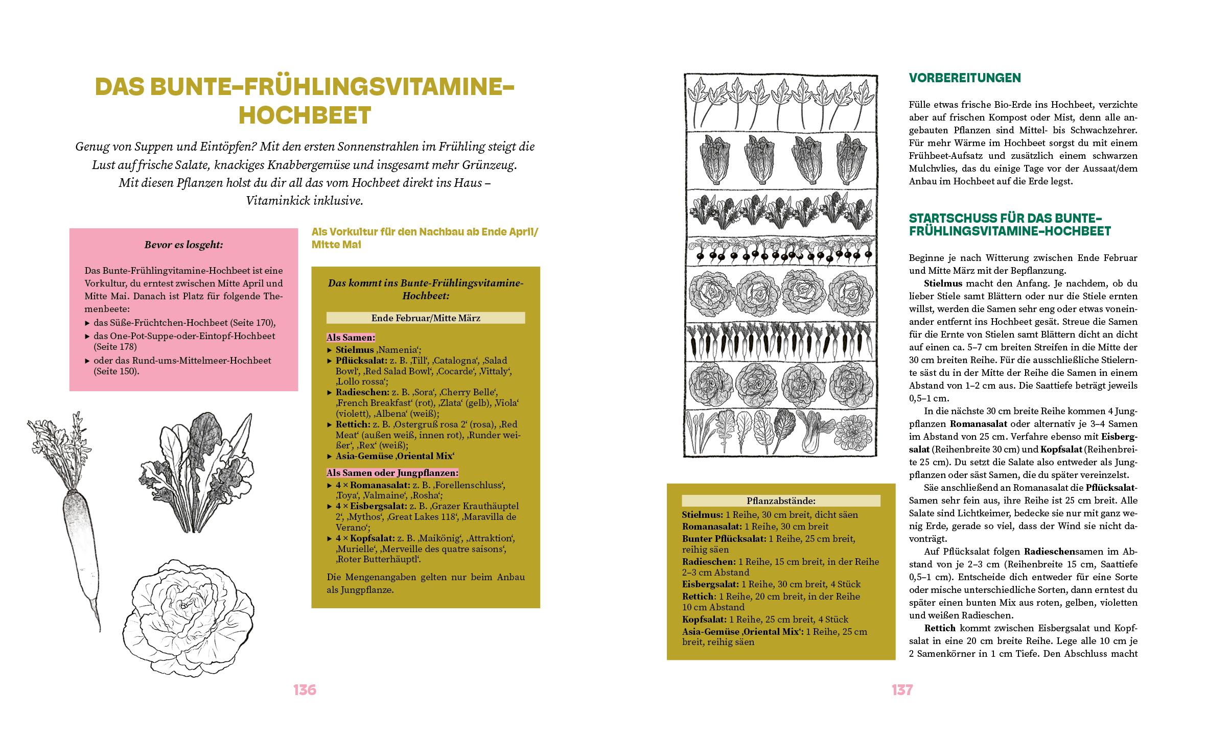 Beispielinhalt (Bild) Das große Hochbeet-Buch