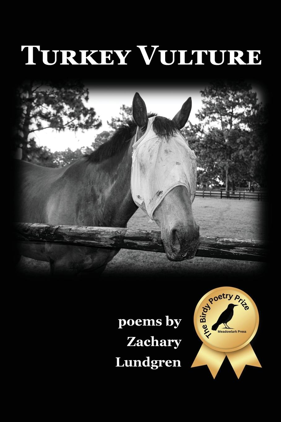 Vorderes Coverbild Turkey Vulture