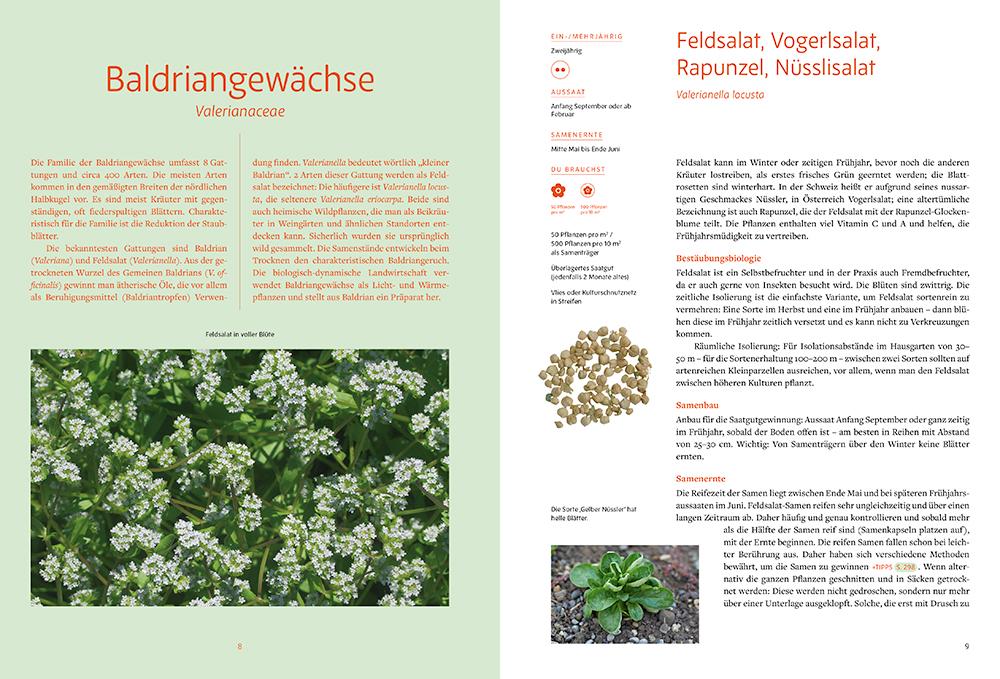 Beispielinhalt (Bild) Handbuch Samengärtnerei