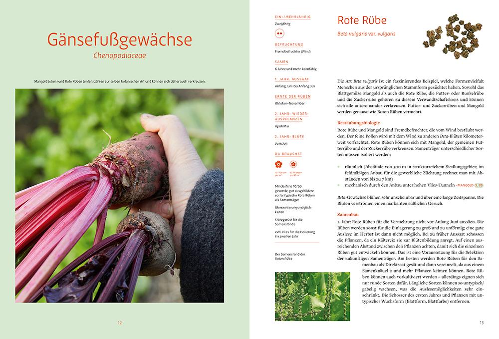 Beispielinhalt (Bild) Handbuch Samengärtnerei