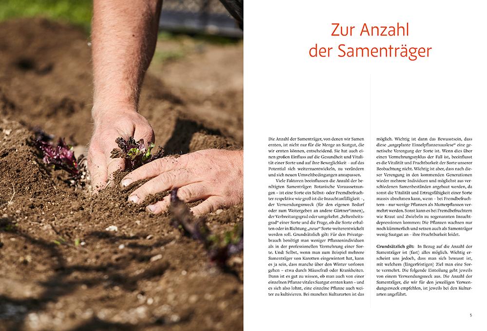 Beispielinhalt (Bild) Handbuch Samengärtnerei