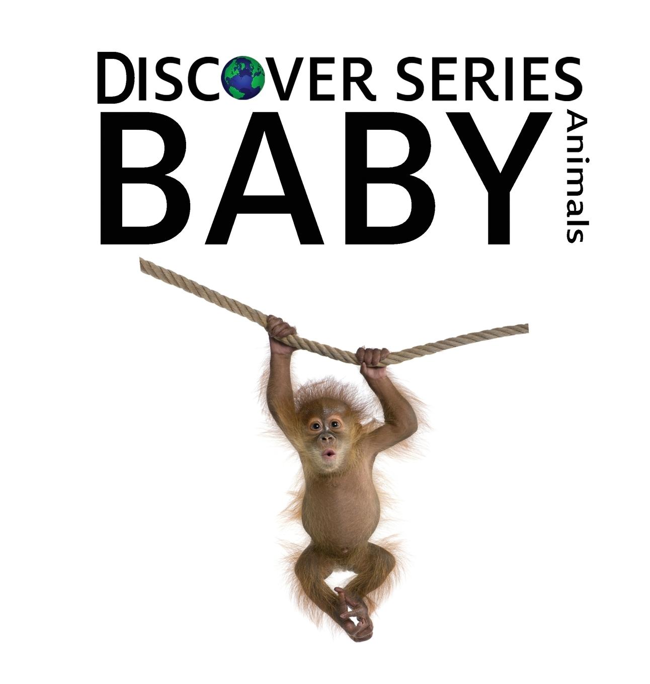 Vorderes Coverbild Baby Animals