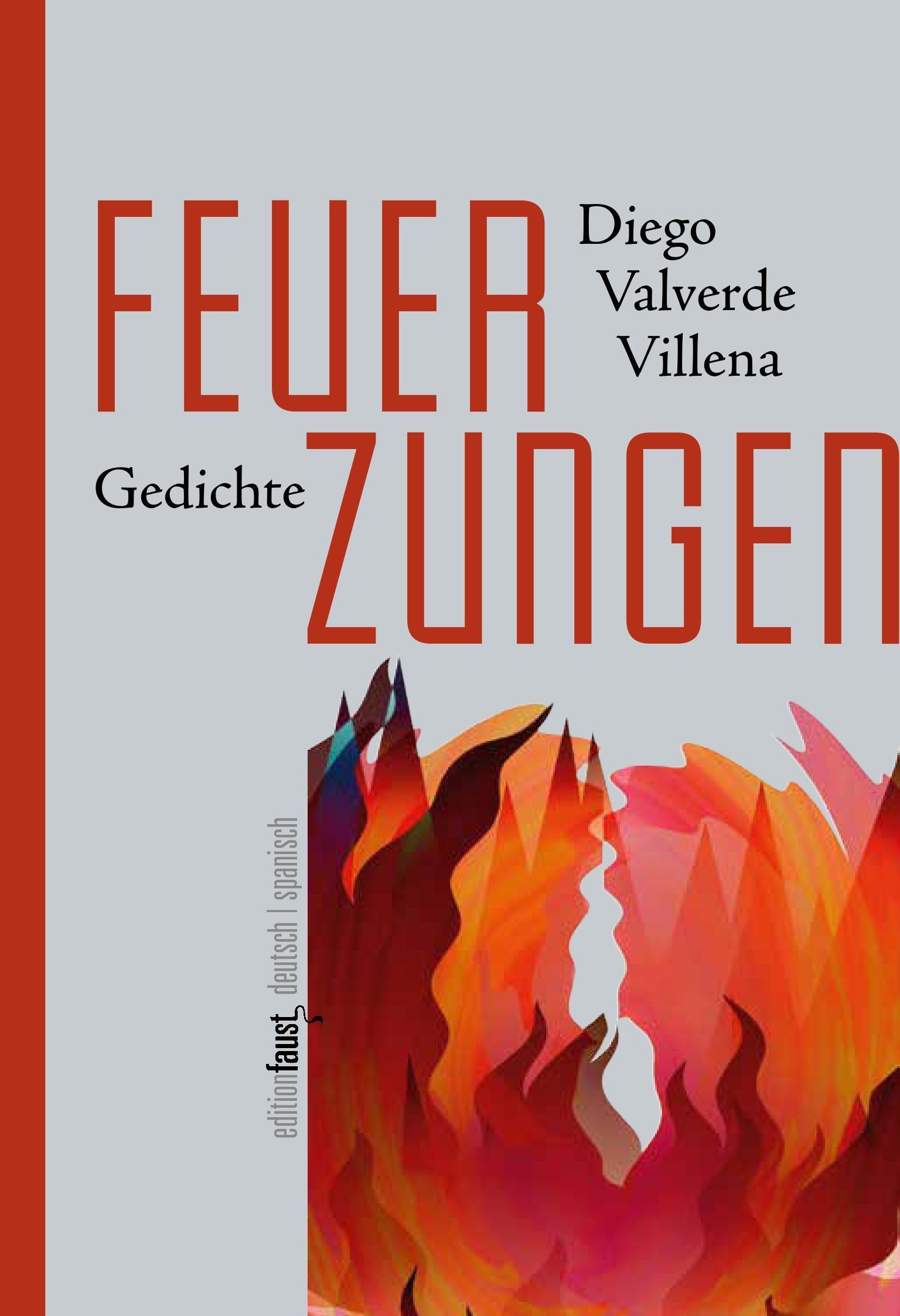Vorderes Coverbild Feuerzungen