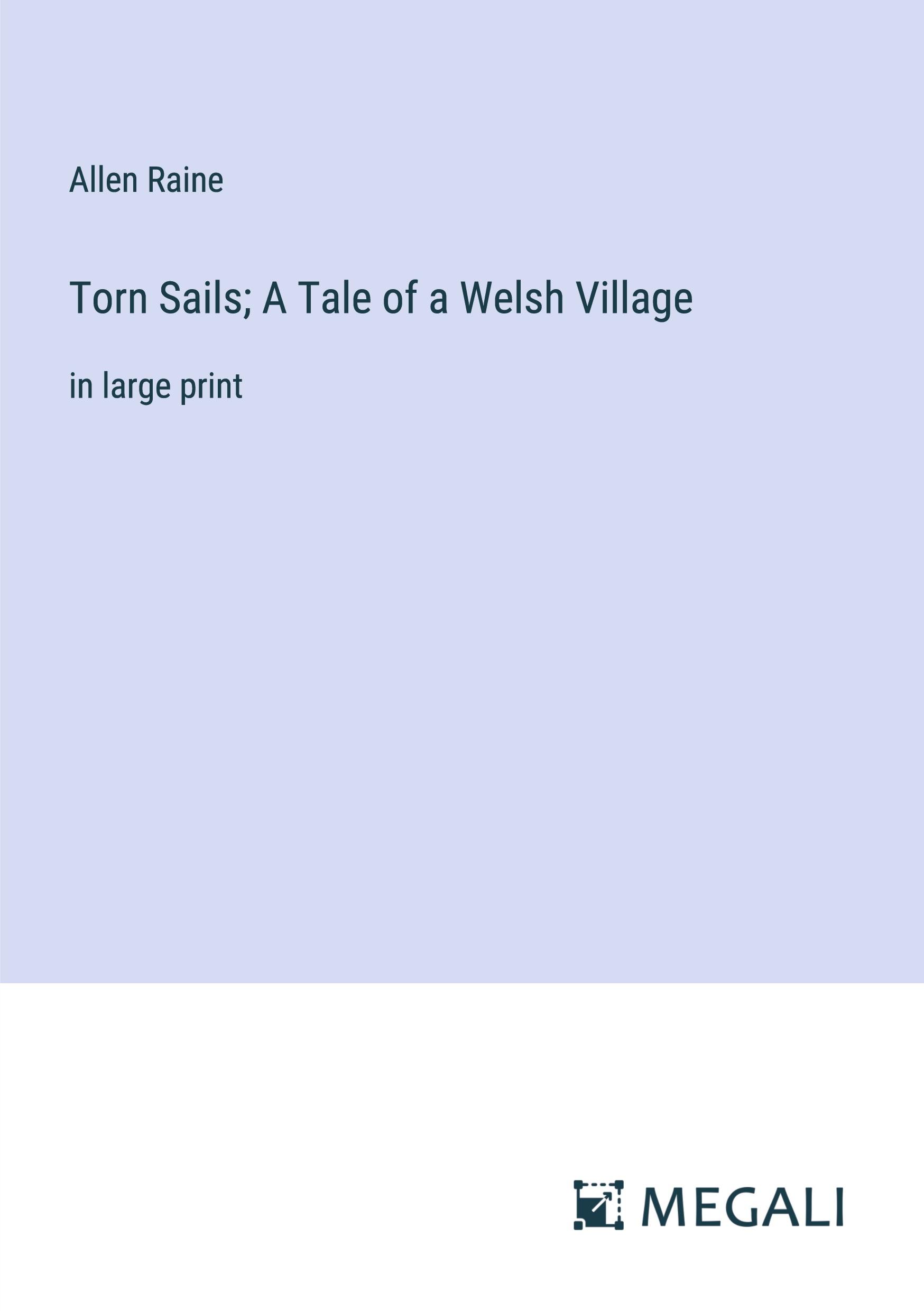 Vorderes Coverbild Torn Sails; A Tale of a Welsh Village