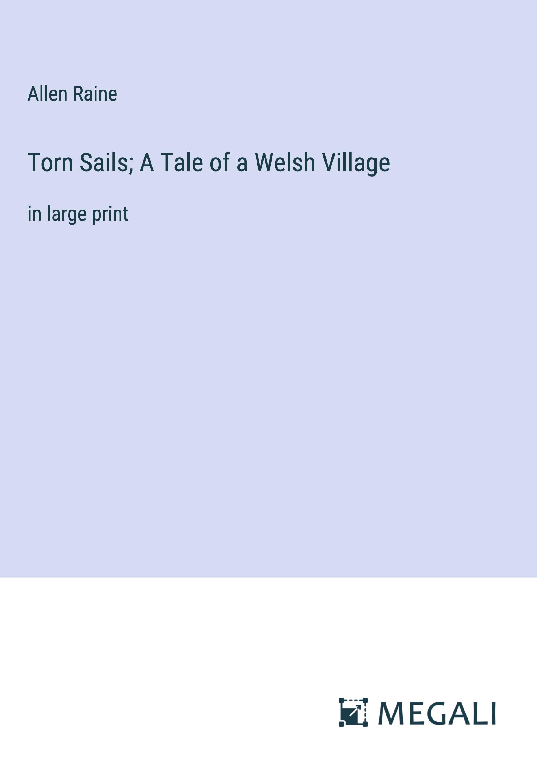 Vorderes Coverbild Torn Sails; A Tale of a Welsh Village