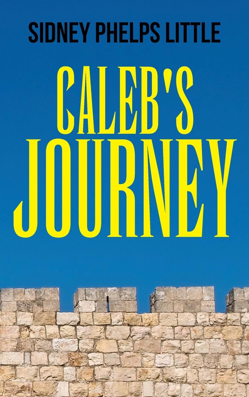 Vorderes Coverbild Caleb's Journey