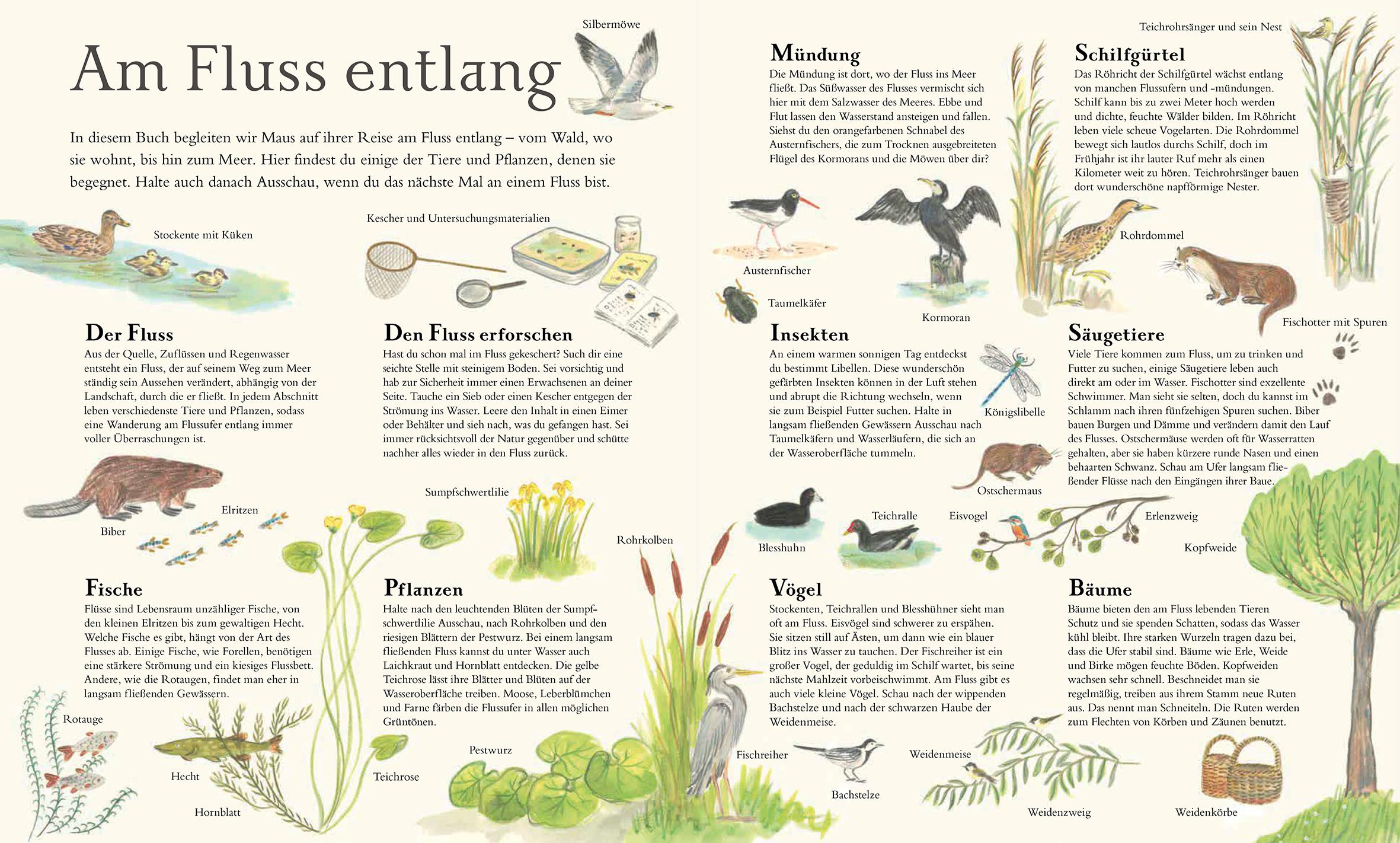 Beispielinhalt (Bild) Mit Maus auf dem Fluss