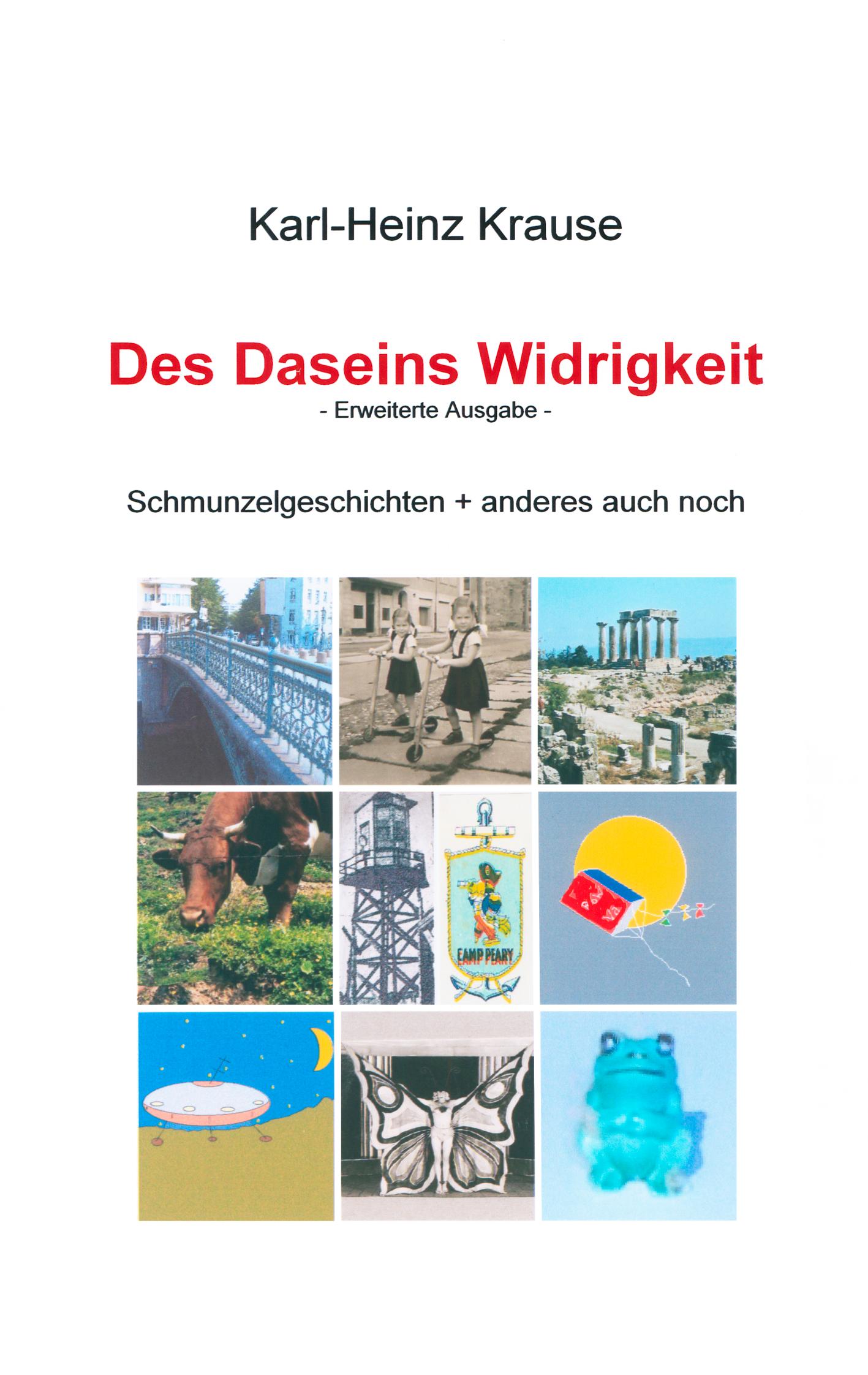 Vorderes Coverbild Des Daseins Widrigkeit
