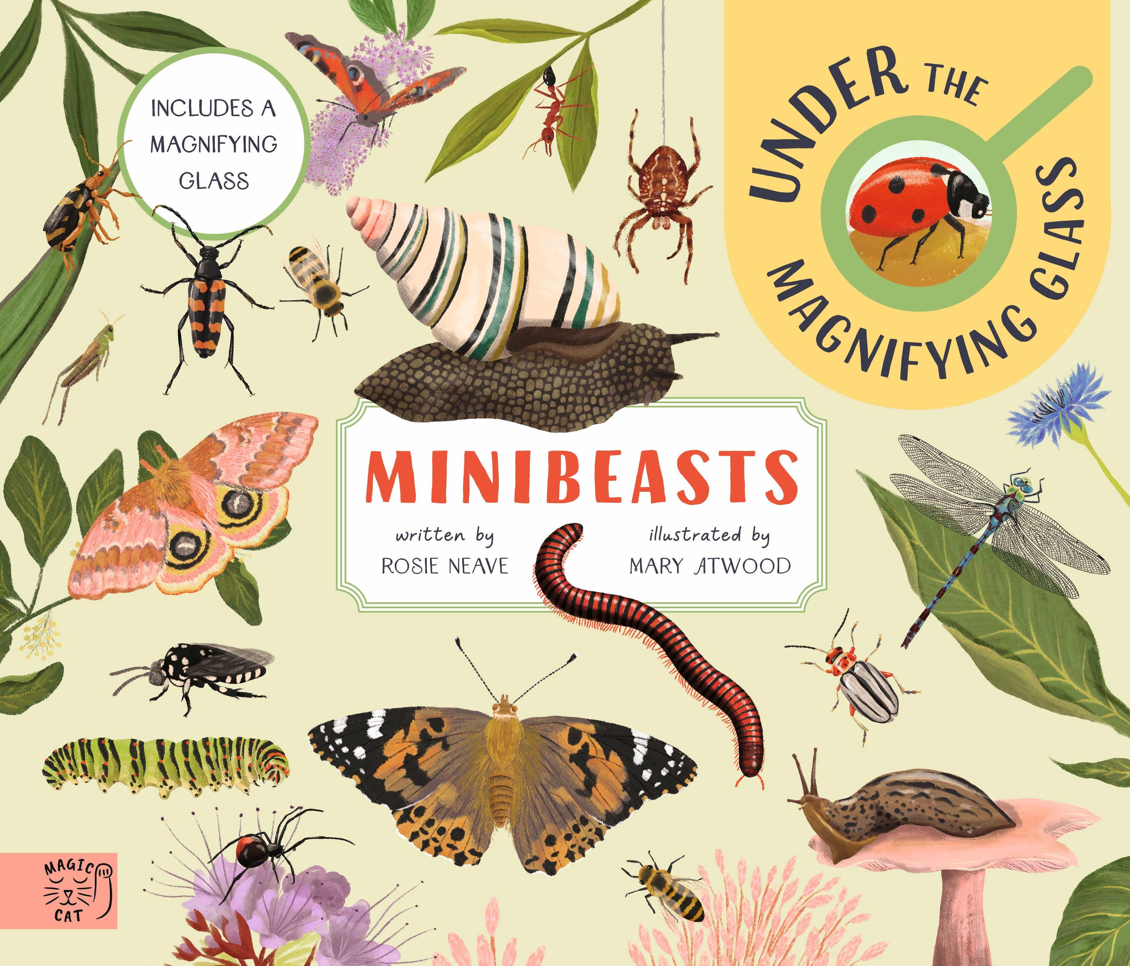 Vorderes Coverbild Minibeasts: Under the Magnifying Glass