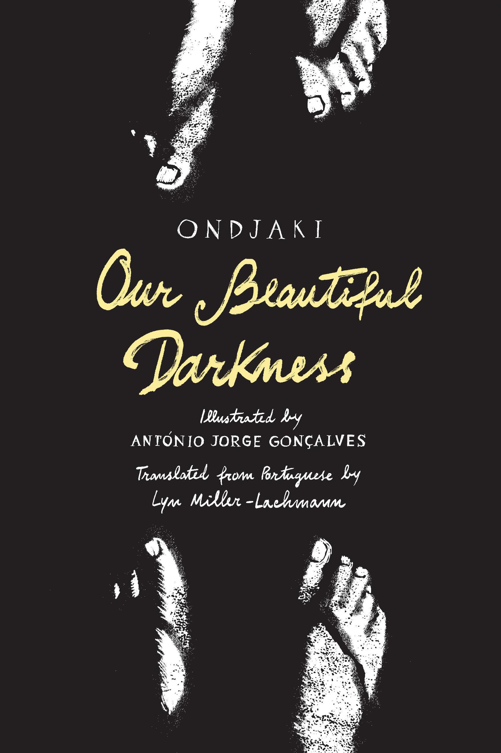 Vorderes Coverbild Our Beautiful Darkness