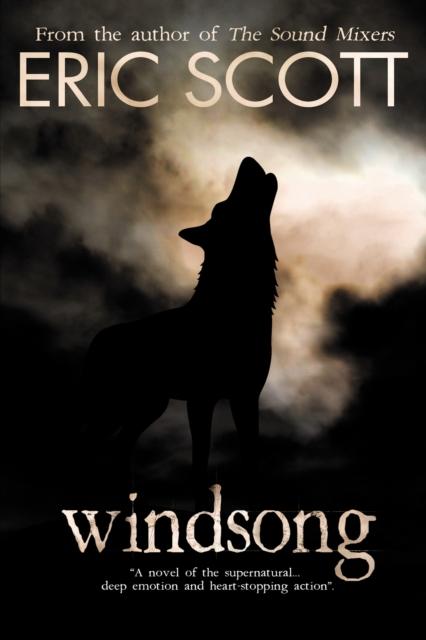 Vorderes Coverbild Windsong