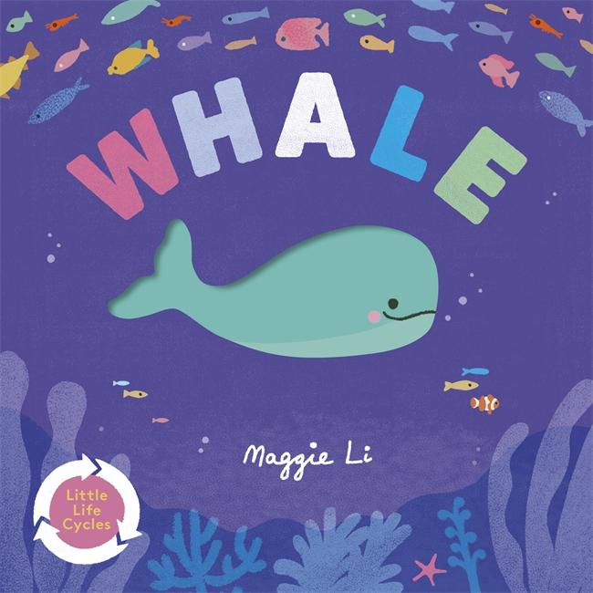 Vorderes Coverbild Little Life Cycles: Whale