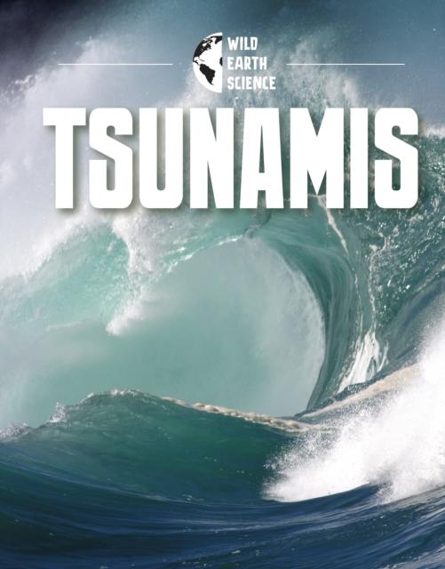 Vorderes Coverbild Tsunamis