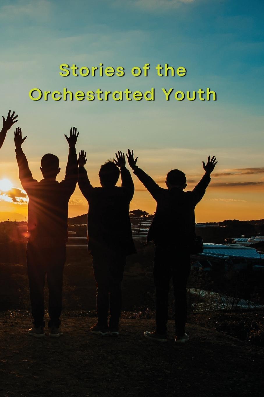 Vorderes Coverbild Stories of the Orchestrated Youth
