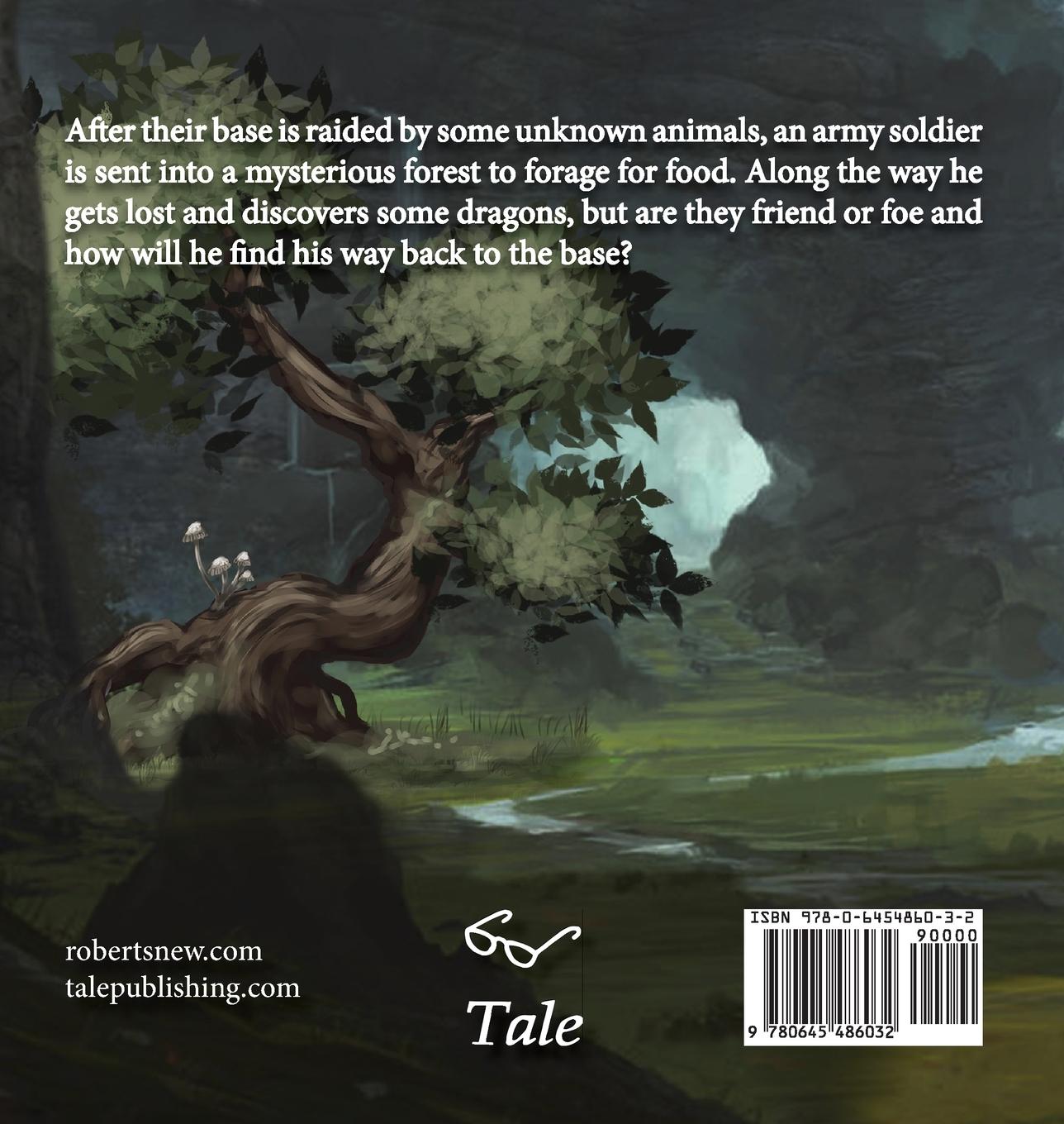 Rückseitencover Lost in the World of Dragons