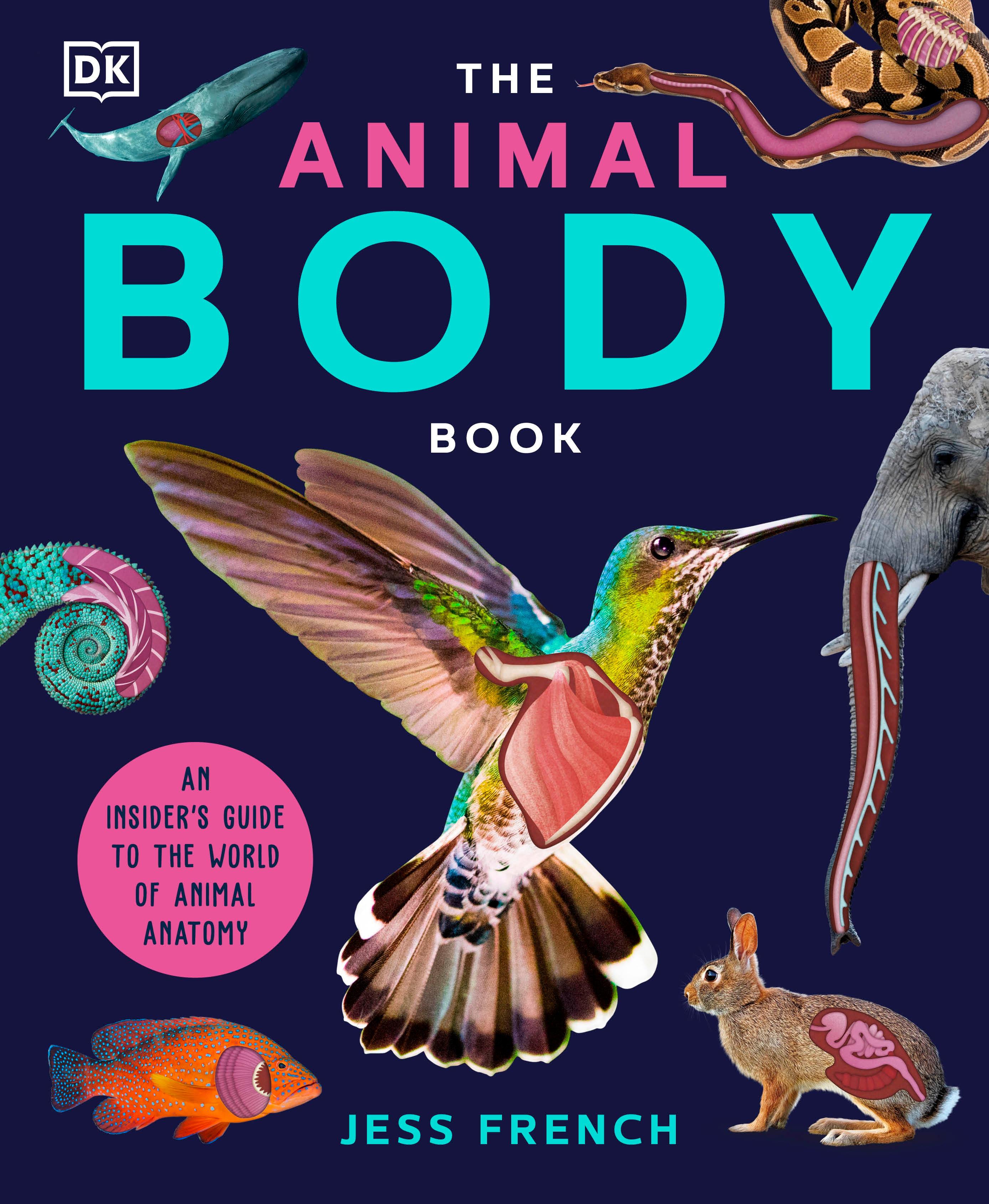 Vorderes Coverbild The Animal Body Book