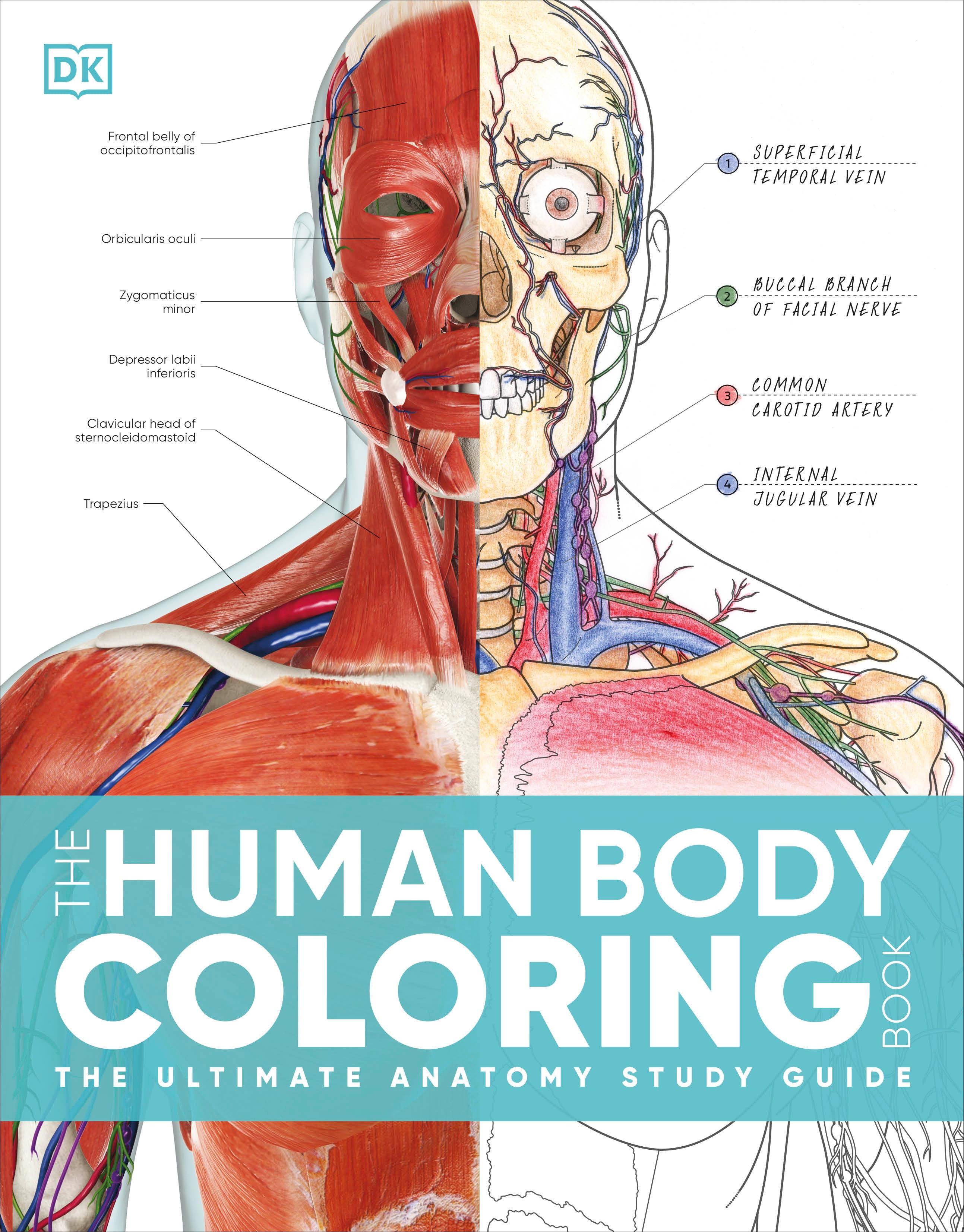 Vorderes Coverbild The Human Body Coloring Book