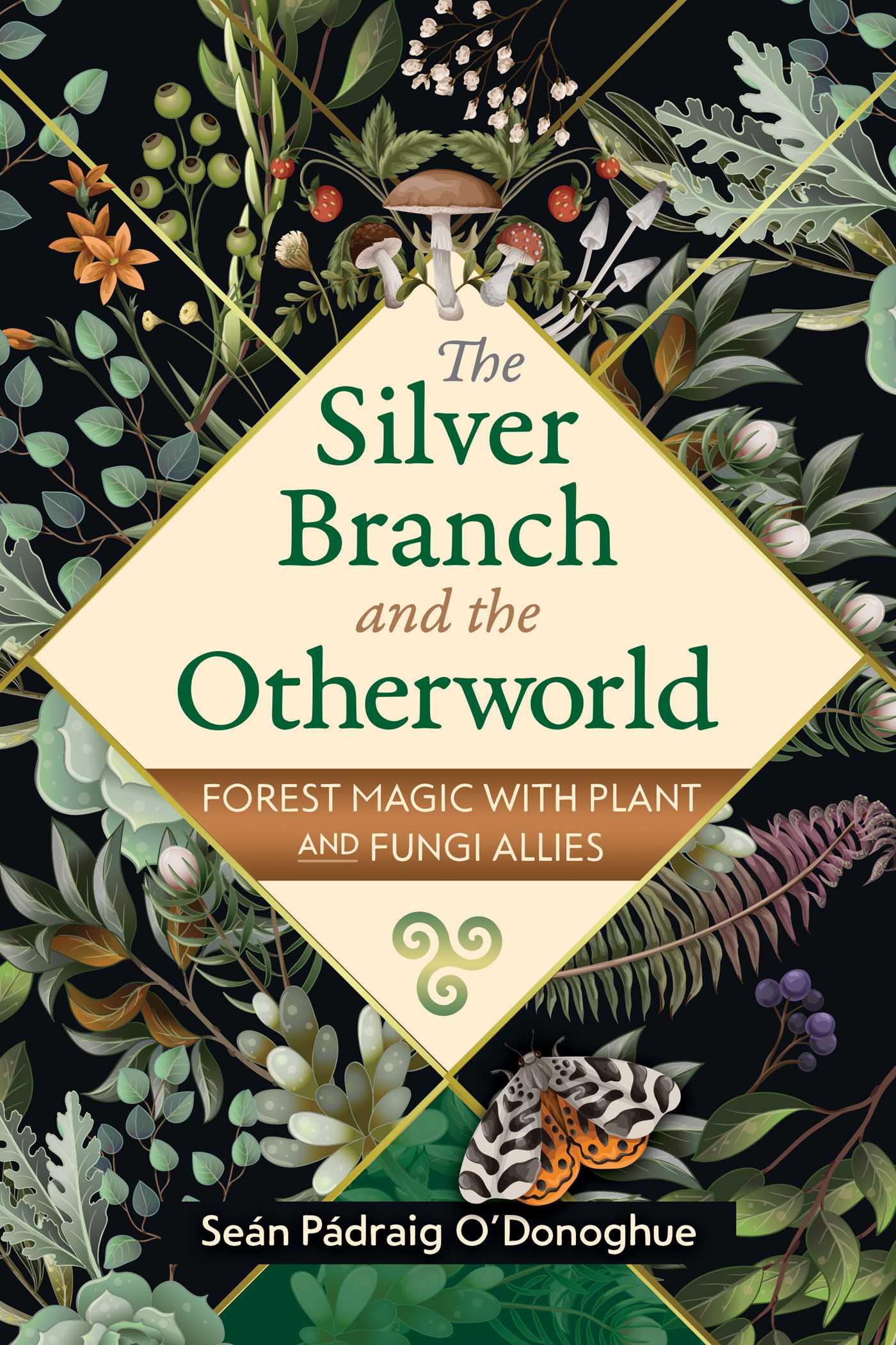 Vorderes Coverbild The Silver Branch and the Otherworld