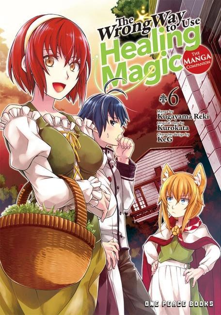 Vorderes Coverbild The Wrong Way to Use Healing Magic Volume 6