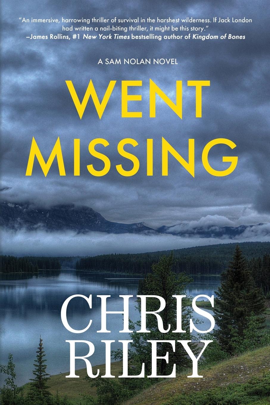 Vorderes Coverbild Went Missing