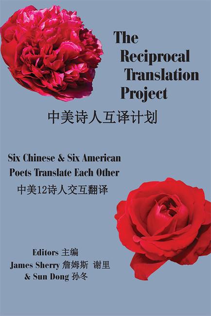 Vorderes Coverbild The Reciprocal Translation Project