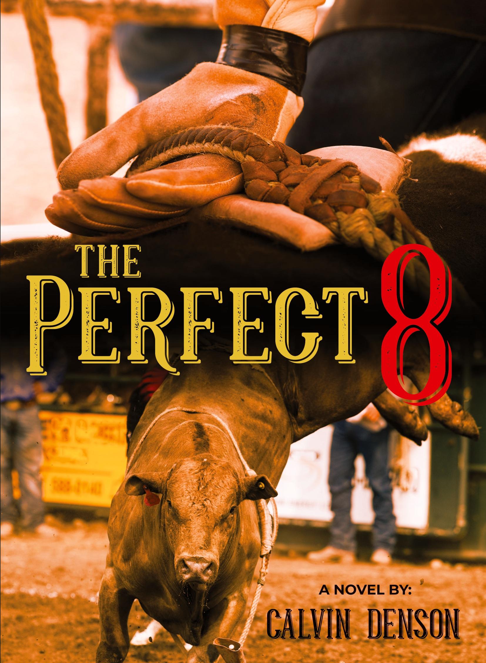 Vorderes Coverbild The Perfect 8