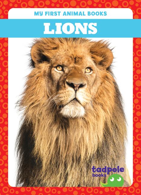 Vorderes Coverbild Lions