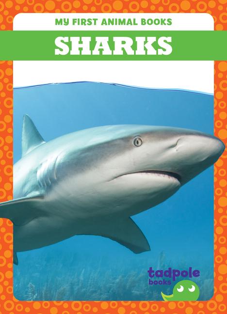 Vorderes Coverbild Sharks