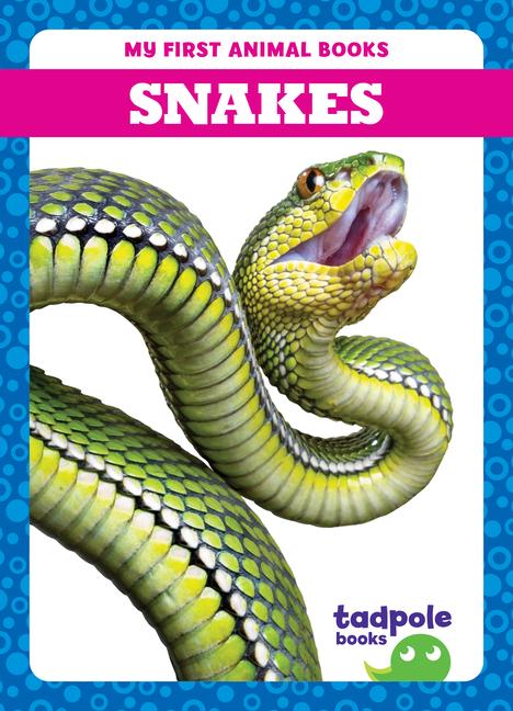 Vorderes Coverbild Snakes