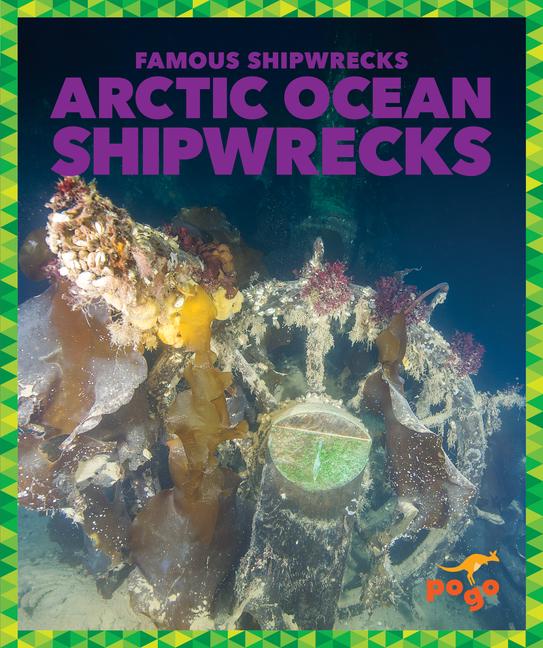 Vorderes Coverbild Arctic Ocean Shipwrecks