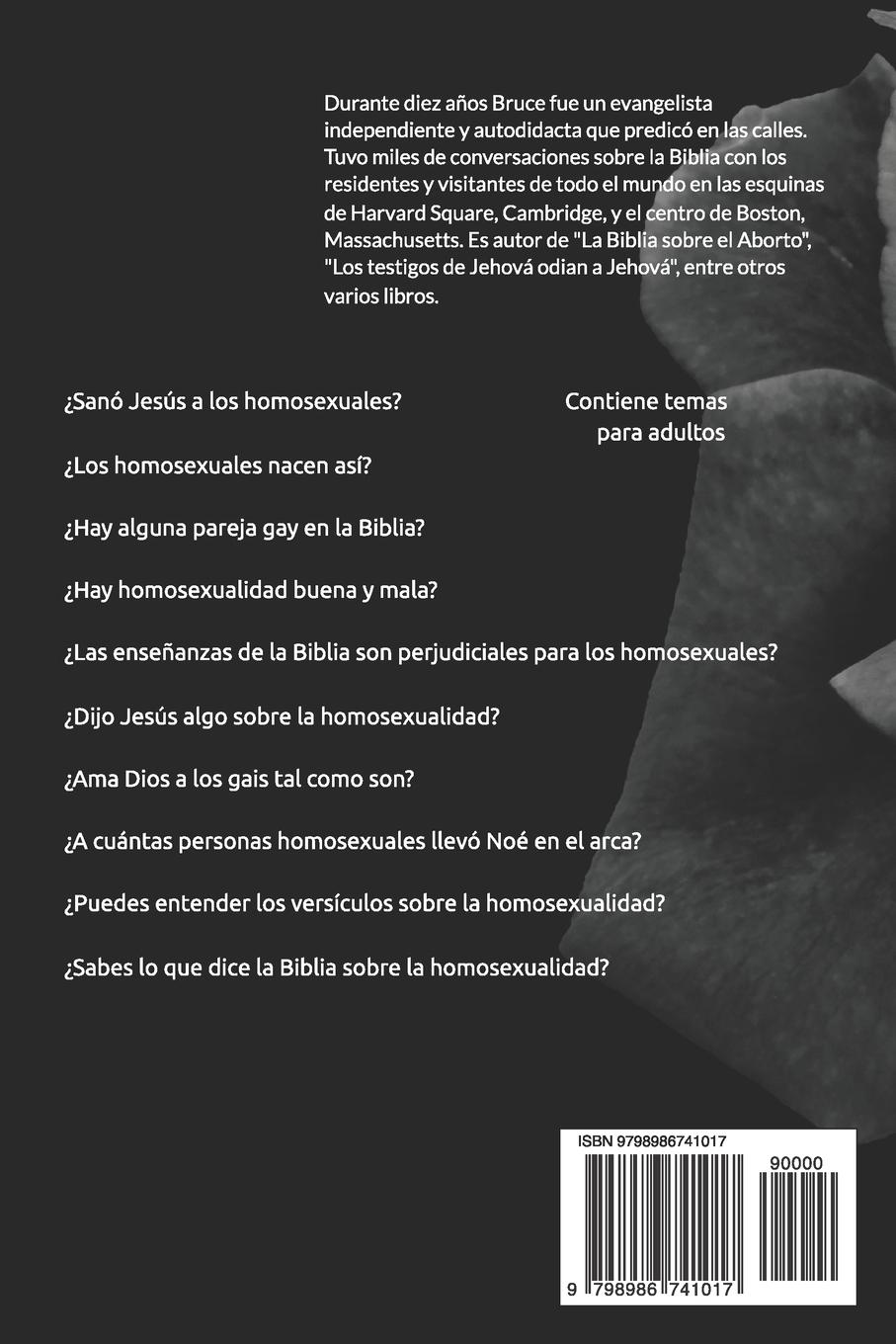 Rückseitencover Teología de la validación gay