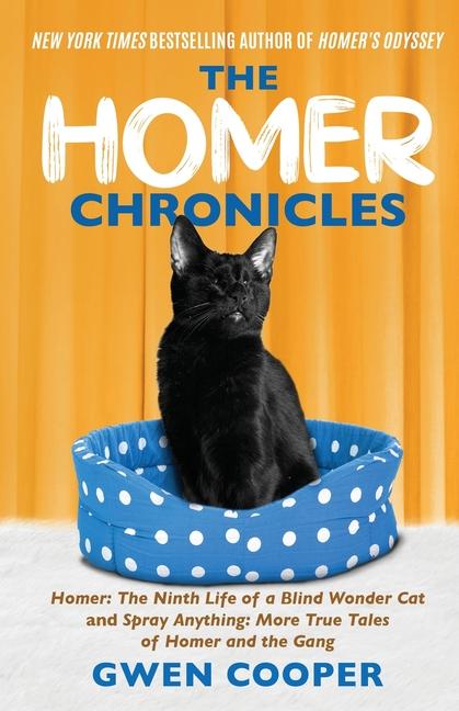 Vorderes Coverbild The Homer Chronicles