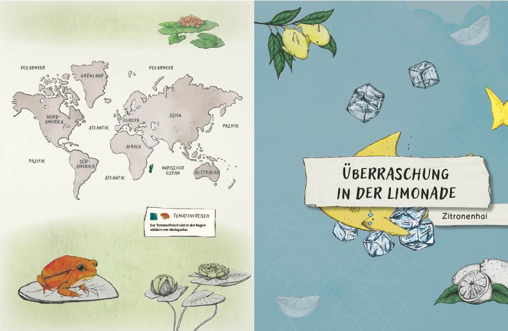 Beispielinhalt (Bild) Gespenstfledermaus, Zitronenhai & Co.