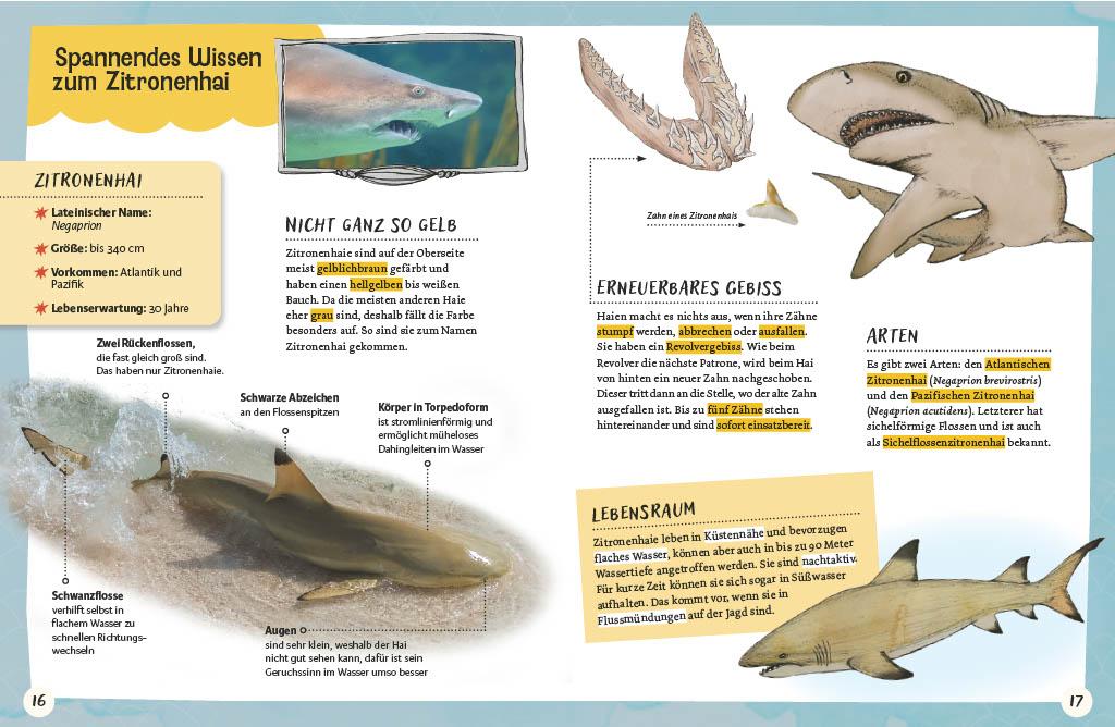 Beispielinhalt (Bild) Gespenstfledermaus, Zitronenhai & Co.