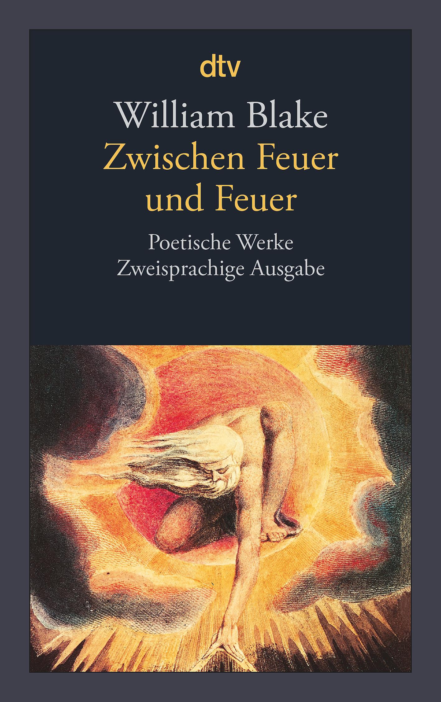 Vorderes Coverbild Zwischen Feuer und Feuer