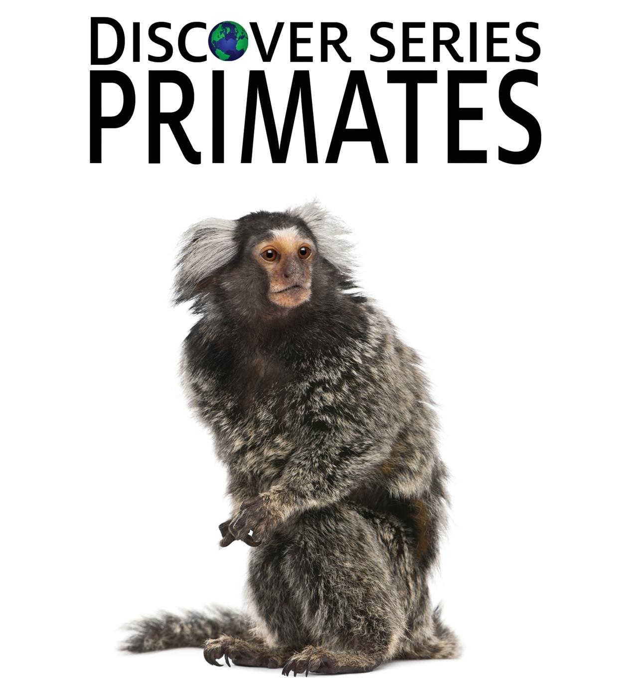 Vorderes Coverbild Primates
