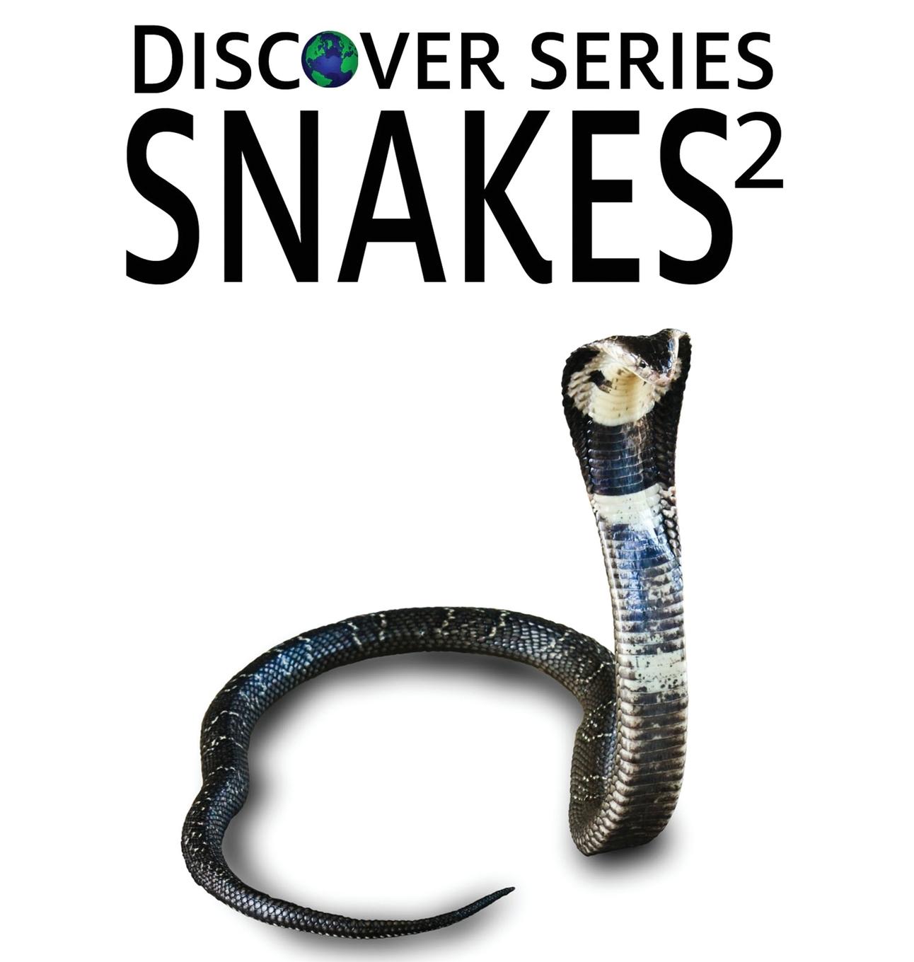 Vorderes Coverbild Snakes 2