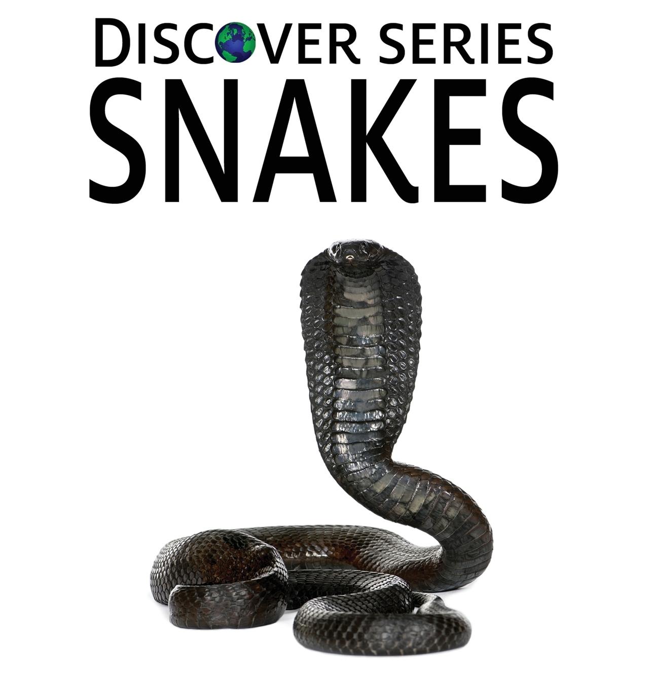Vorderes Coverbild Snakes