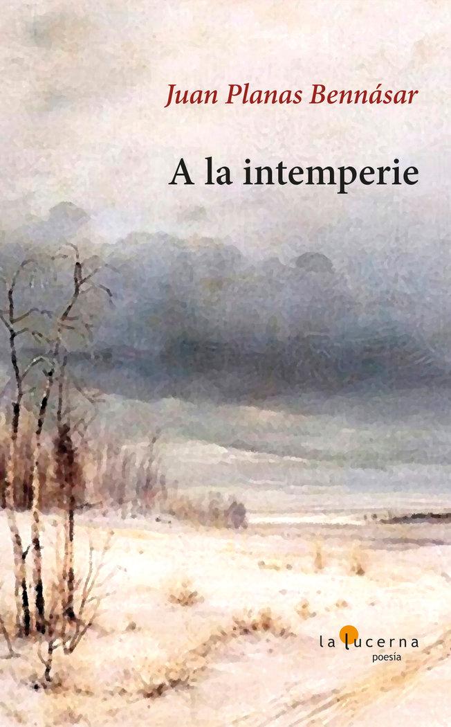 Vorderes Coverbild A LA INTEMPERIE