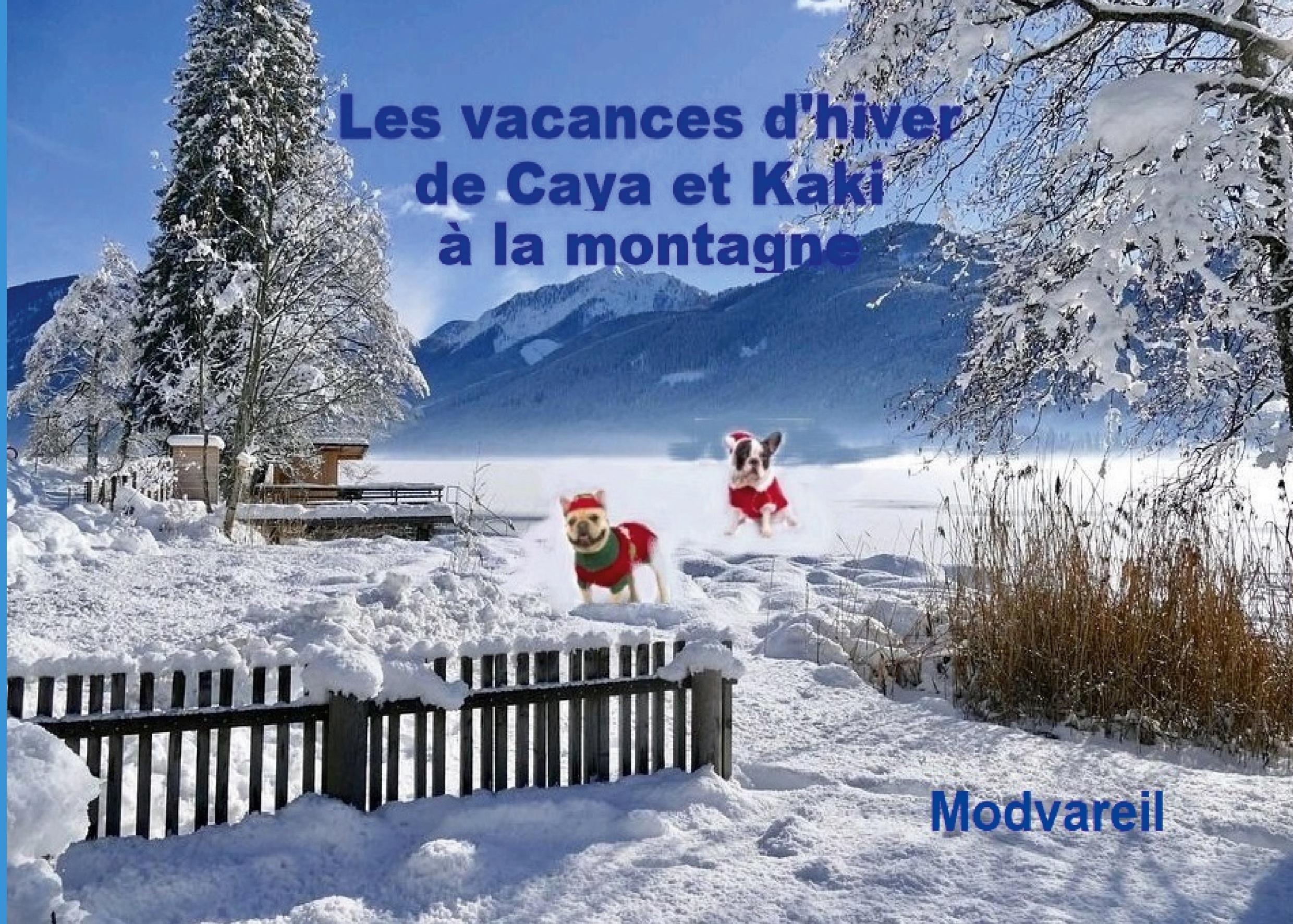 Vorderes Coverbild Les vacances d'hiver de Caya et Kaki à la montagne
