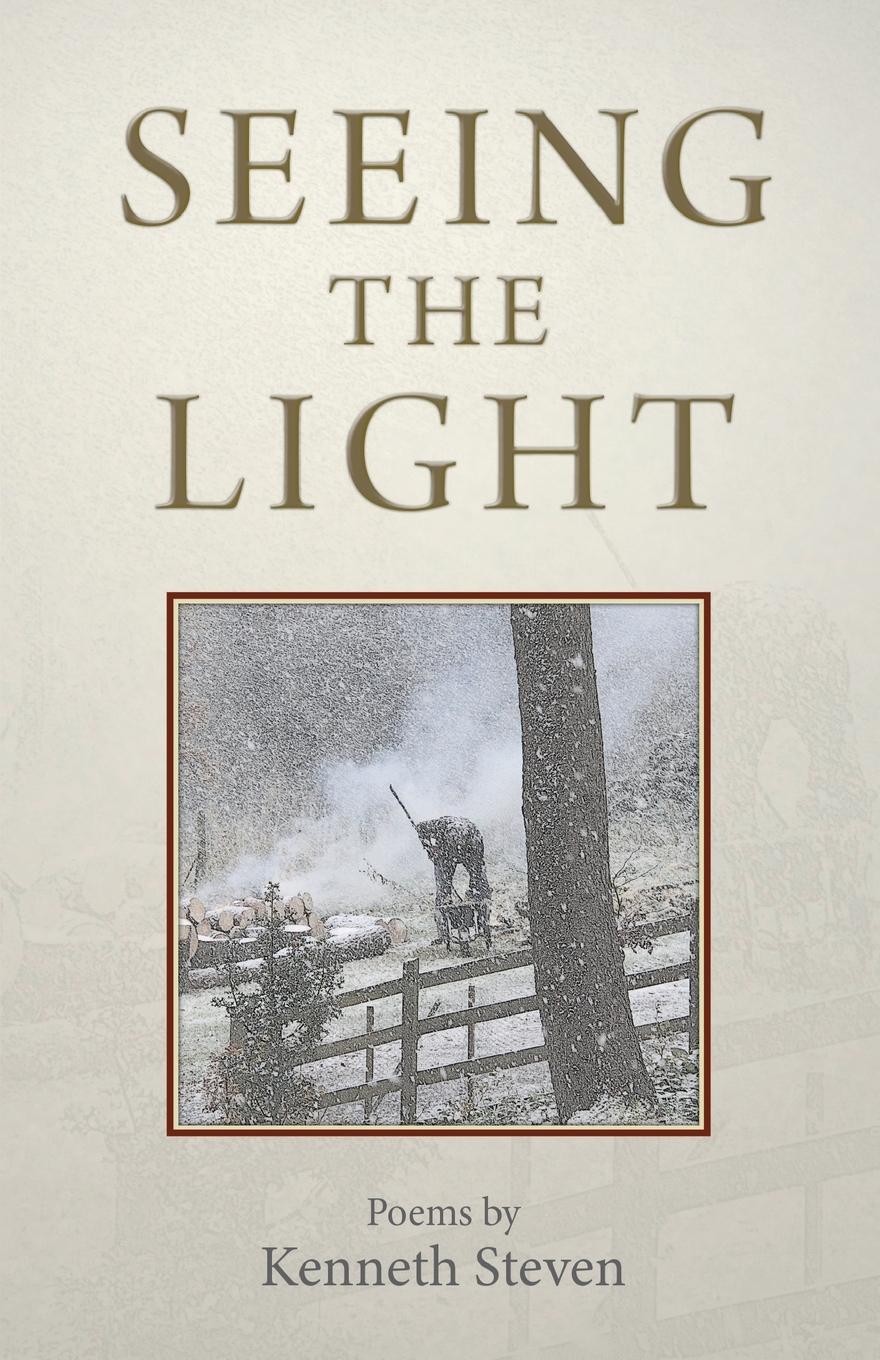 Vorderes Coverbild Seeing the Light