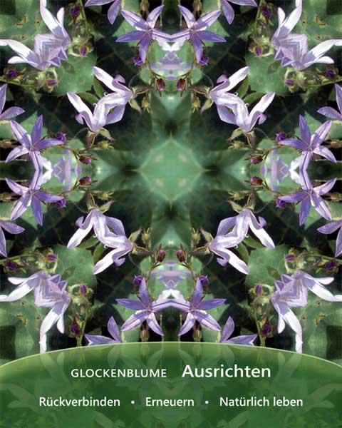 Beispielinhalt (Bild) Heilfroh - EnergieKartenSet