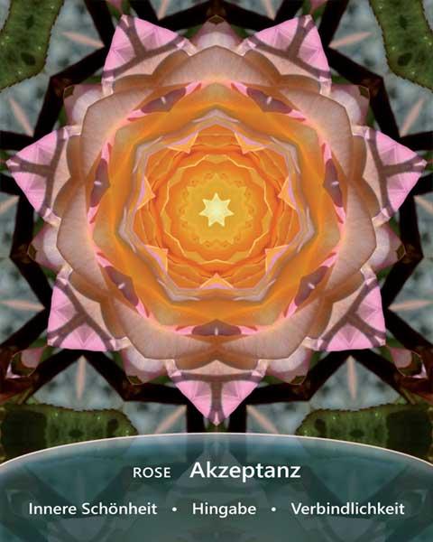 Beispielinhalt (Bild) Heilfroh - EnergieKartenSet