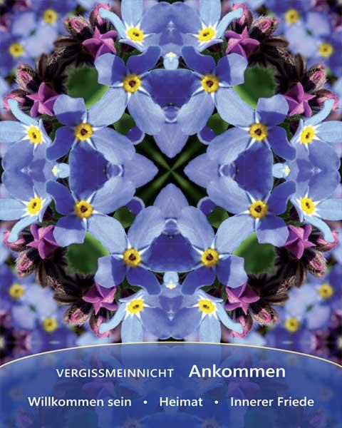 Beispielinhalt (Bild) Heilfroh - EnergieKartenSet