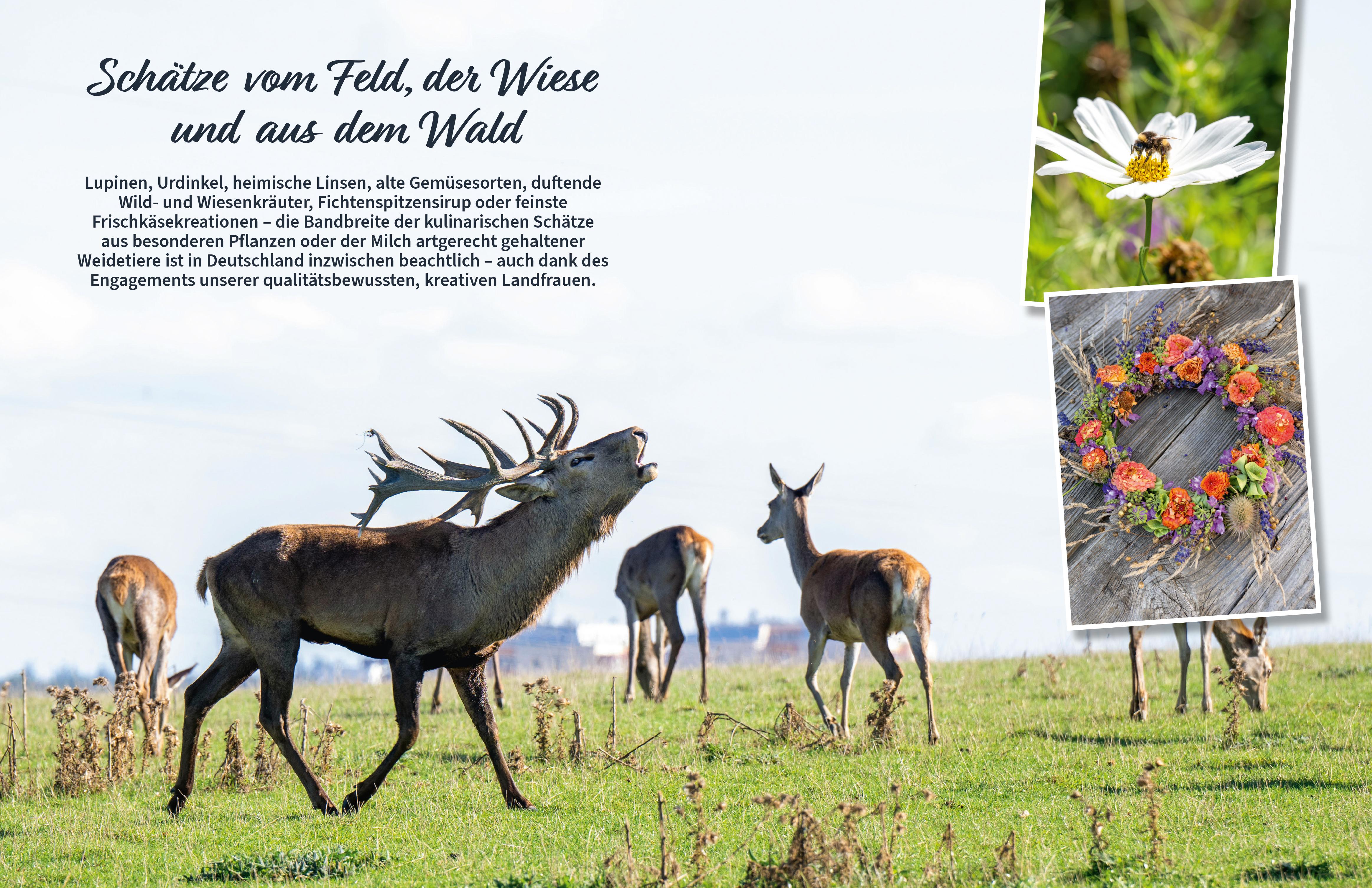 Beispielinhalt (Bild) Kulinarische Schätze vom Münsterland bis zu den Alpen