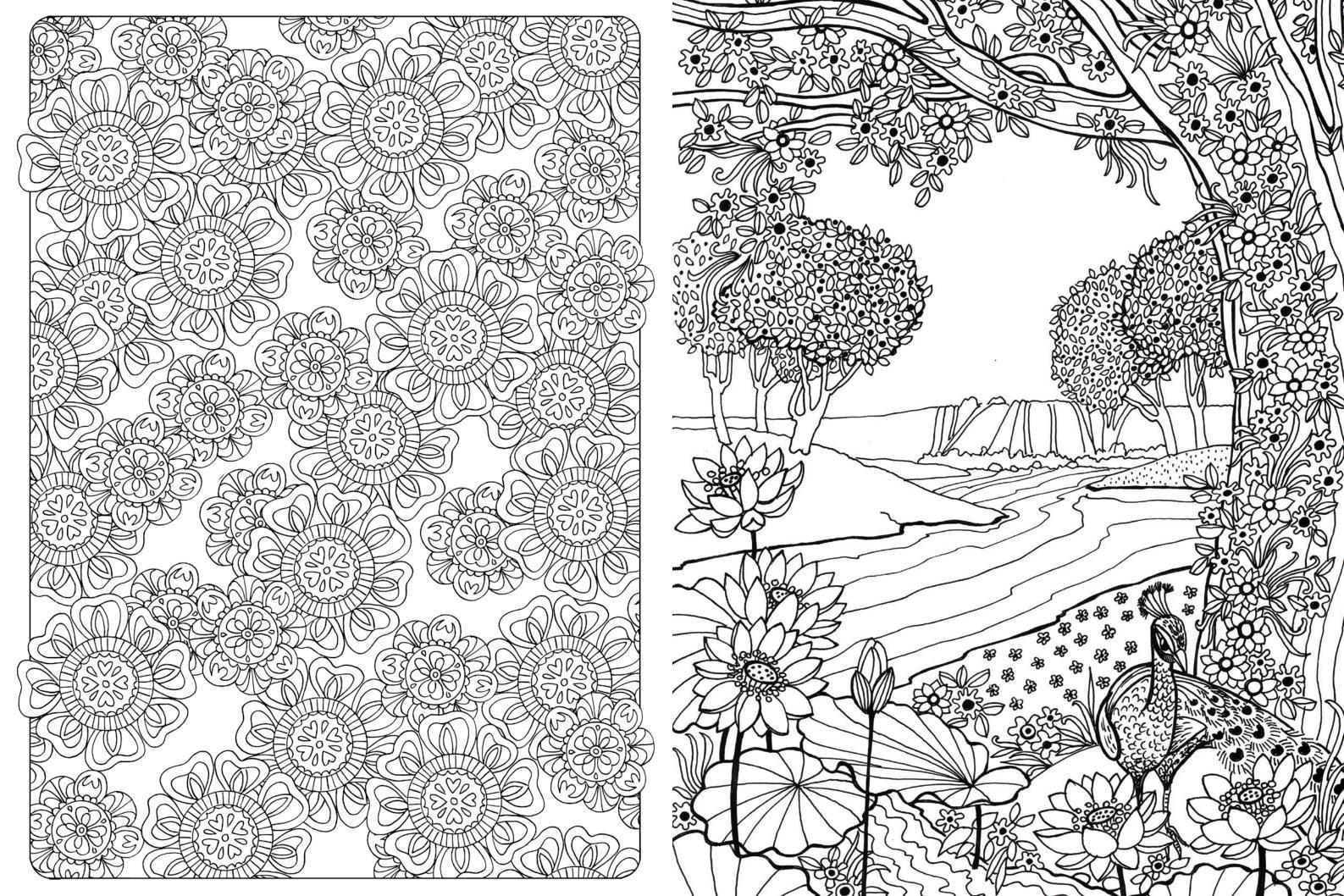 Beispielinhalt (Bild) 365 Ausmalbilder