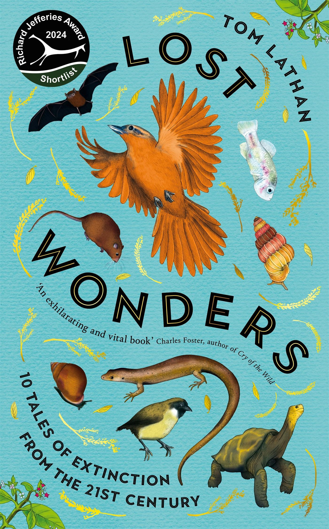 Vorderes Coverbild Lost Wonders
