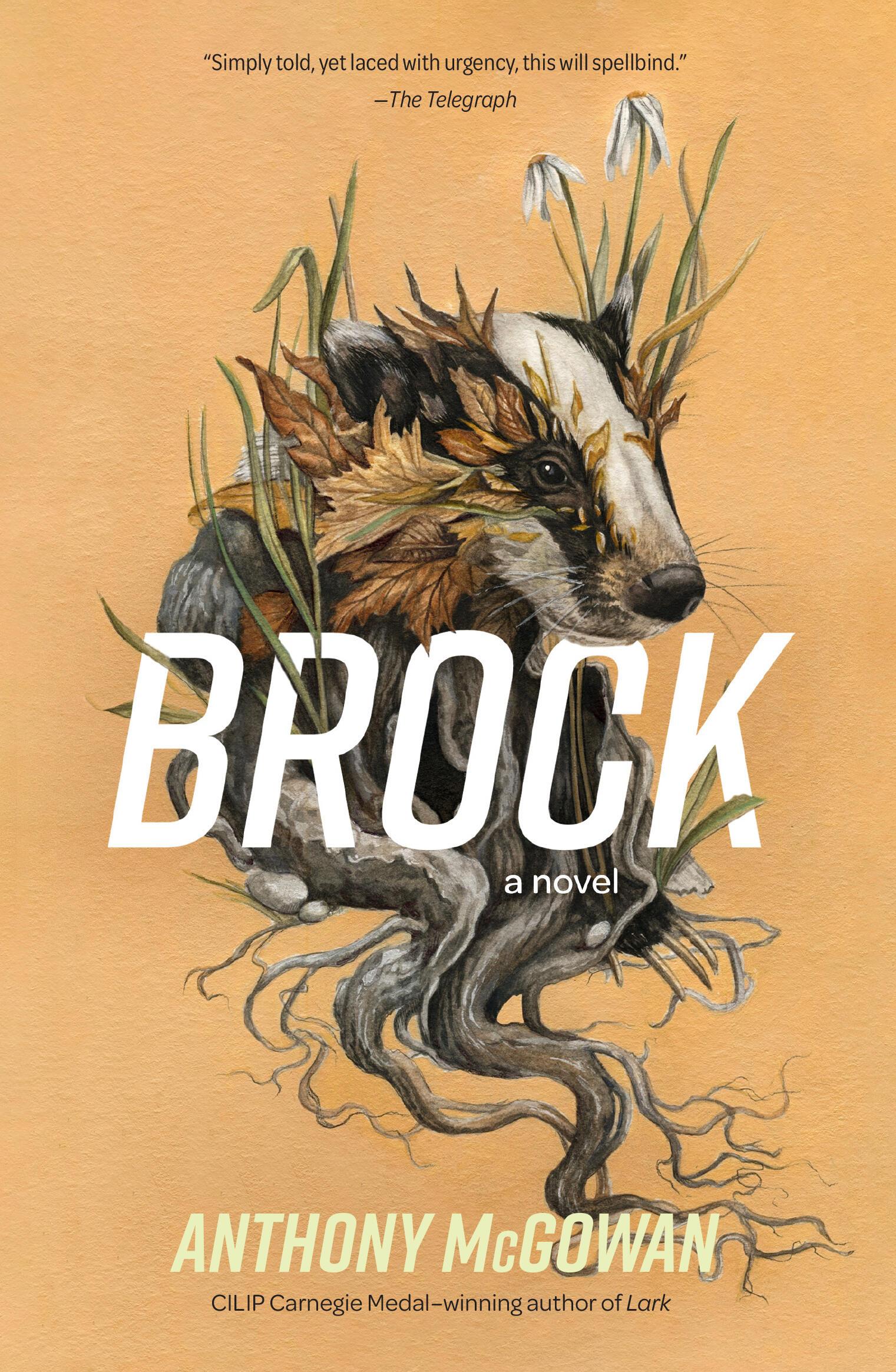 Vorderes Coverbild Brock